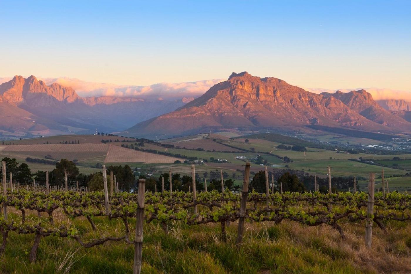 Апартаменты Domaine Coutelier Стелленбос Экстерьер фото