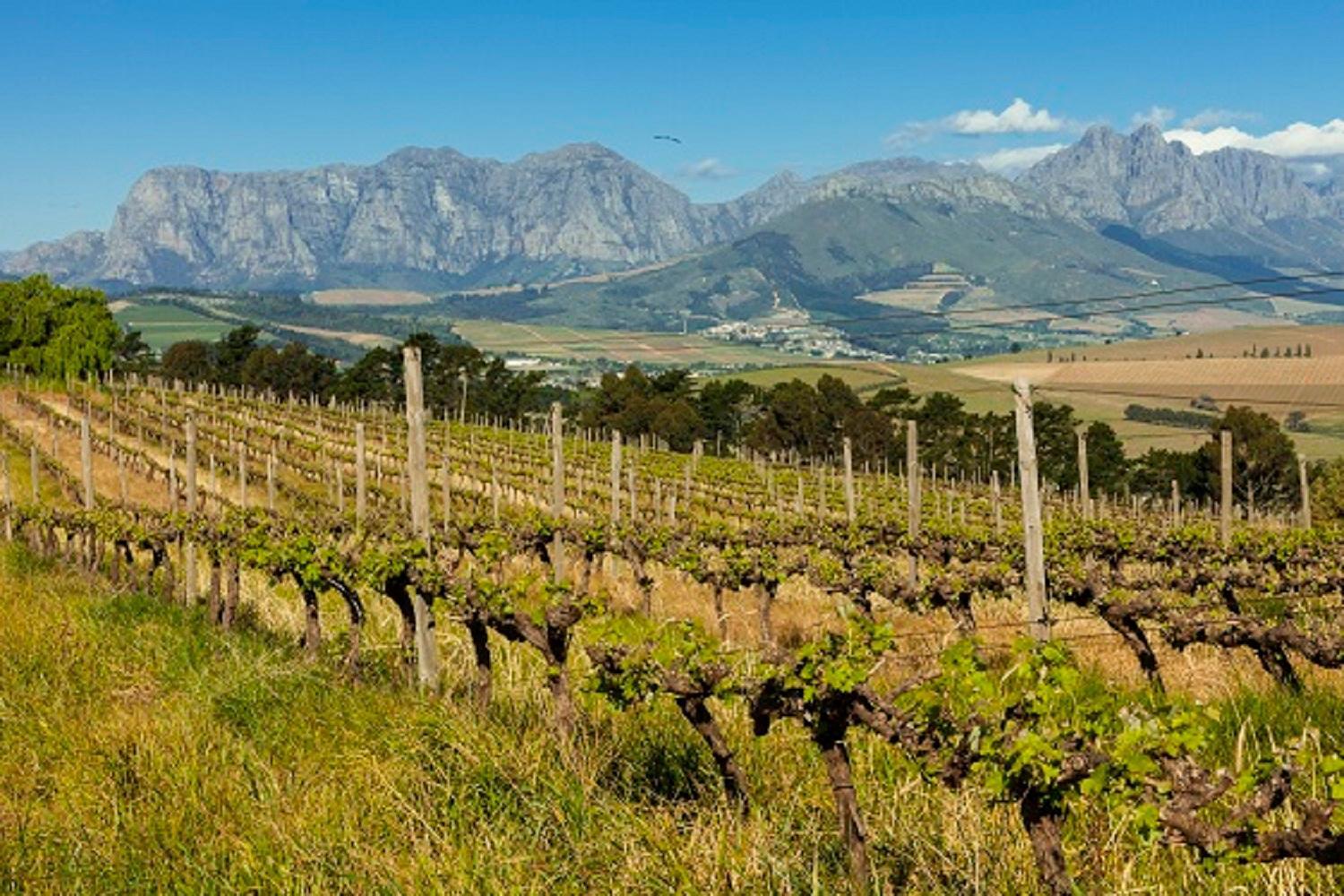 Апартаменты Domaine Coutelier Стелленбос Экстерьер фото